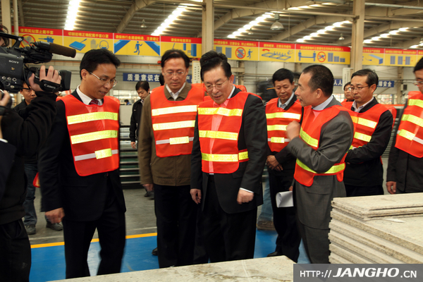 骆琳莅临ng电子游戏幕墙视察调研